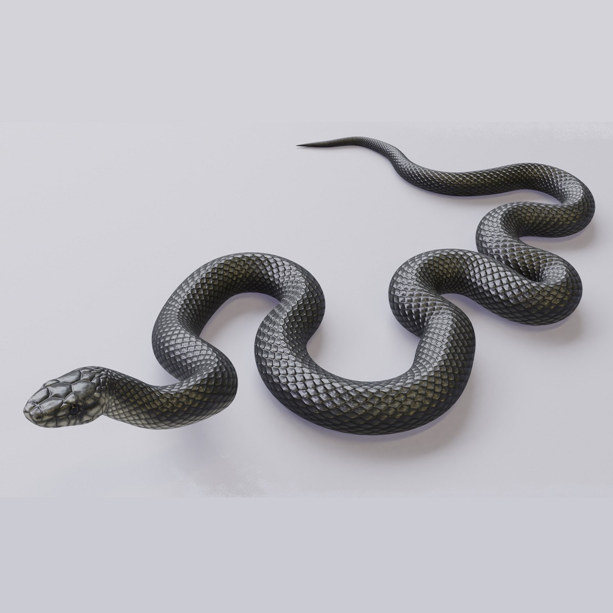 Snake OBJ Models for Download